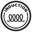 INDUCCION